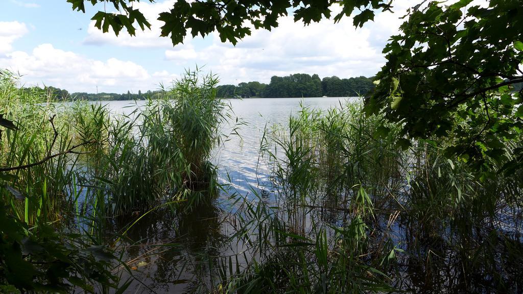 Ferienhaus Natura Neuruppin Camera foto