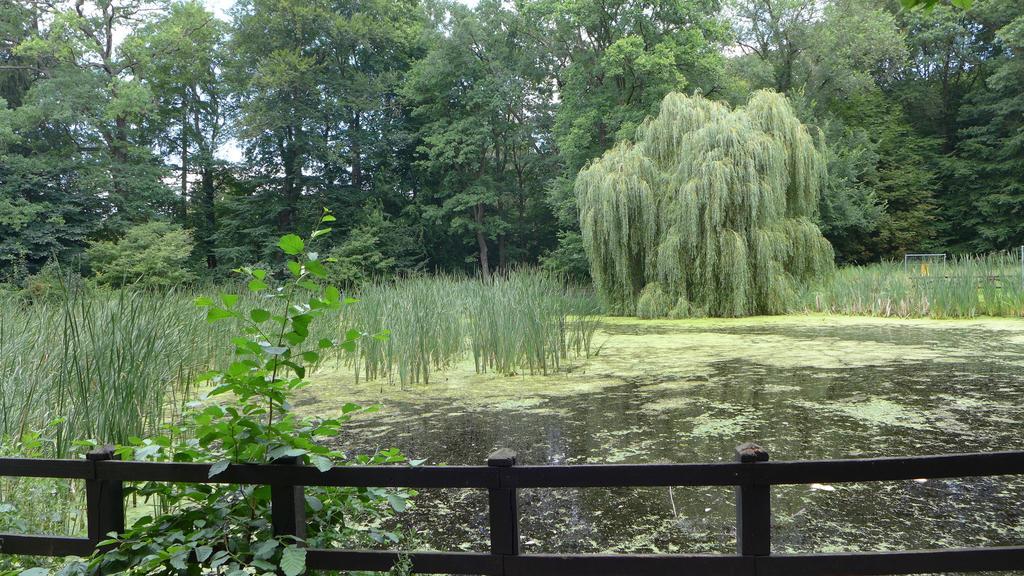 Ferienhaus Natura Neuruppin Camera foto
