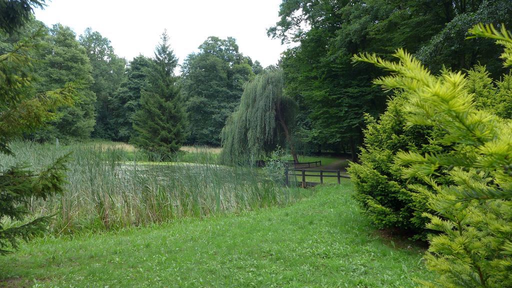 Ferienhaus Natura Neuruppin Camera foto